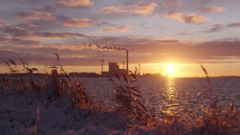 slowmotion shot of a beautiful sunrise with swaying reeds in the foreground