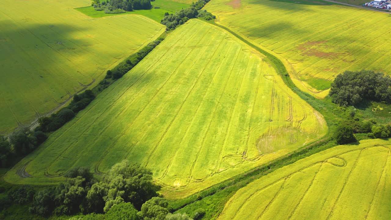 foto aérea de la parte superior de un dron volador de una tierra con campos verdes sembrados en el campo en primavera