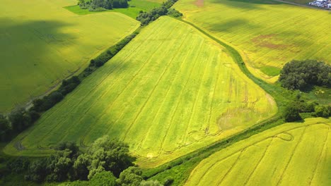 Foto-Aérea-De-La-Parte-Superior-De-Un-Dron-Volador-De-Una-Tierra-Con-Campos-Verdes-Sembrados-En-El-Campo-En-Primavera