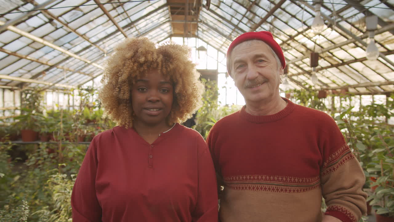 mulher negra trabalhando com um homem sênior em uma estufa de flores