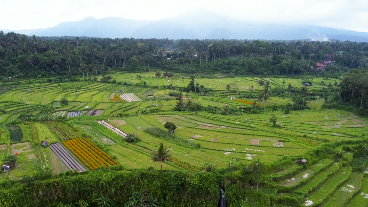 с воздуха: долина маха-ганга на бали-индонезии, лагерь с эко-хатами, видом на горы на вулкан агунг, рисовые террасы и джунгли пальмовых деревьев, водопады и места для фотографий