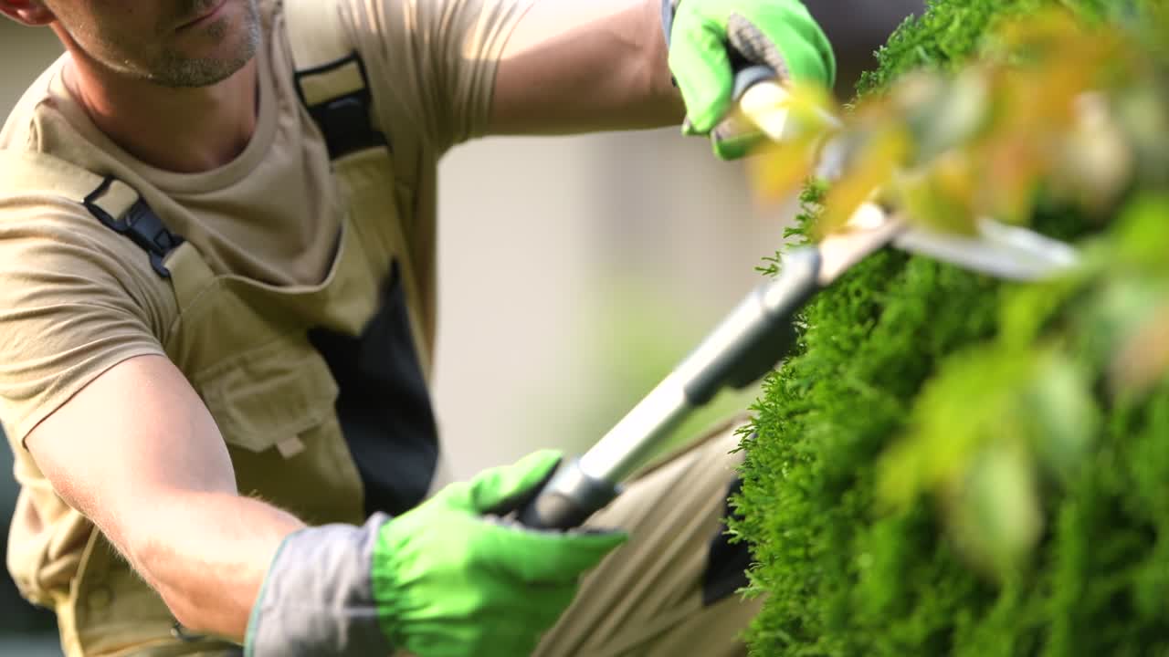 hombre recortando arbustos con tijeras de jardín.