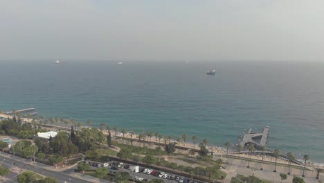 sea boulevard-avenue with palmtrees - aerial view