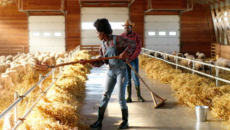 agricoltori afroamericani donna e uomo che puliscono fieno con rastrelli e parlano in una stalla con gregge di pecore