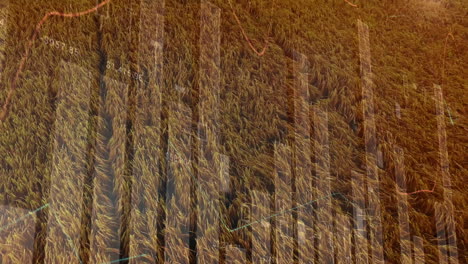 animación de las estadísticas y el procesamiento de datos financieros en el ámbito de la agricultura
