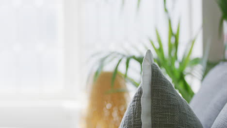 office space waiting room with green plants