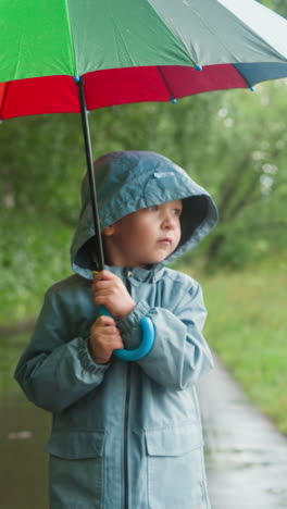 kid walks in park with parasol held aloft. opened multicolored parasol transforms gloomy weather in bright and lively scene. striking contrast