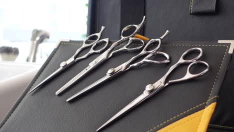 professional hair scissors on black leather pad