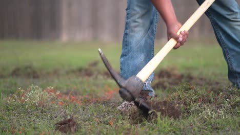 Worker-Digging-in-Grass-Yard-with-a-Pick-Axe