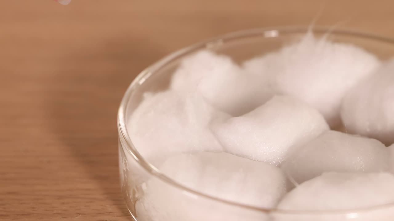 A hand places seeds on cotton in a dish, adding water droplets for germination.