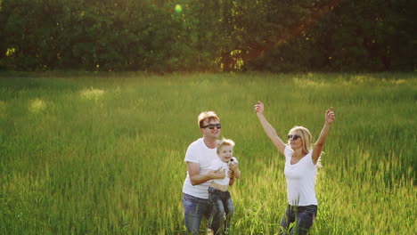 family walking in field carrying young baby son