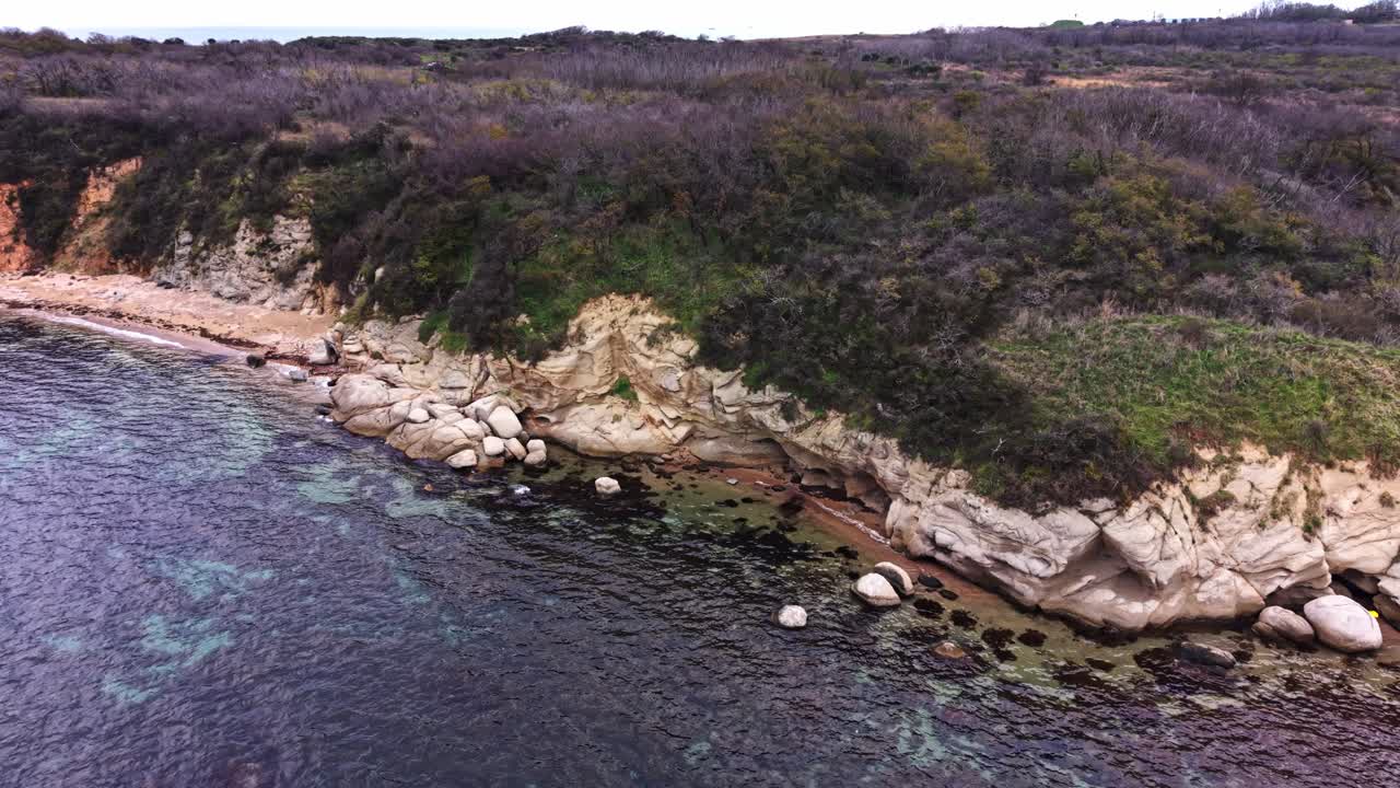 Coastal cliff with rocky shore and lush vegetation in aerial view