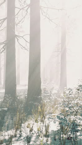 enveloped in soft