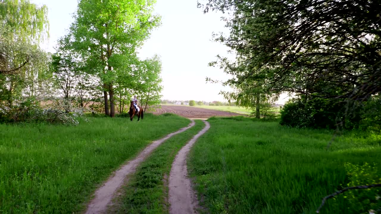 봄, 해가 지면, 소녀 승마자, 조키, 순혈의 아름다운 갈색 기마를 타고, 은 꽃이 피는 사과 정원을 통해. 꽃이 핀 정원에서 달리는 말. 스테디캠