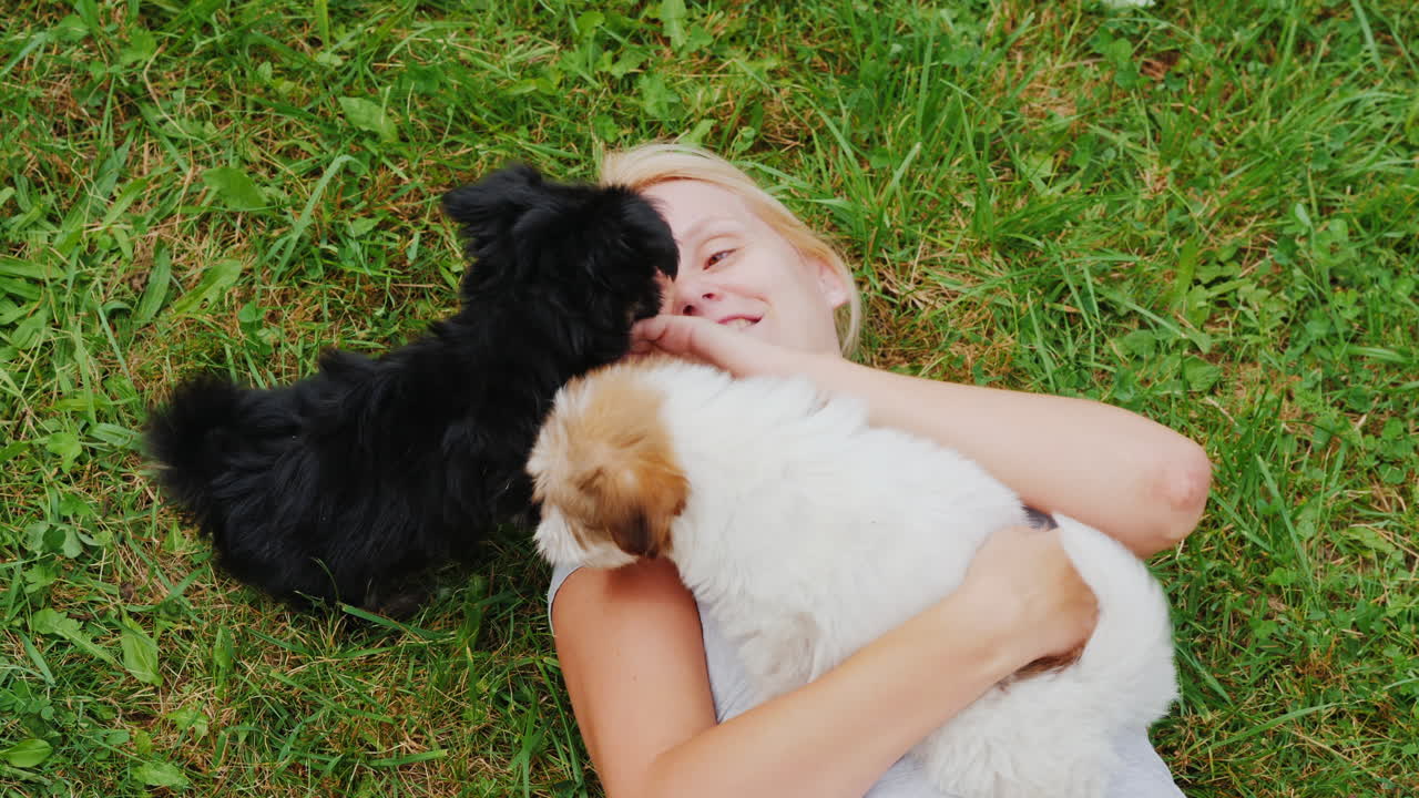 잔디밭에서 강아지와 노는 여자