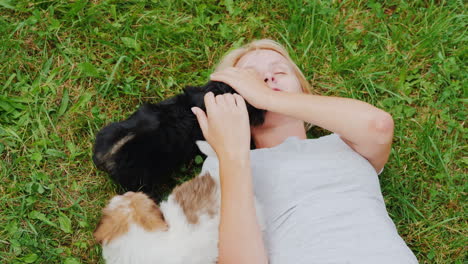 mujer jugando con cachorros en el césped