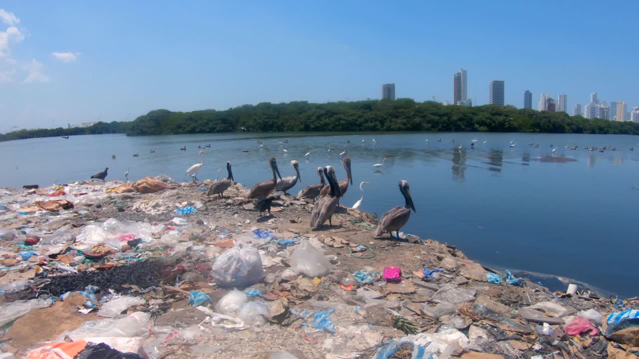 오염된 강변 해안 카르타헤나 콜롬비아 외 남아메리카