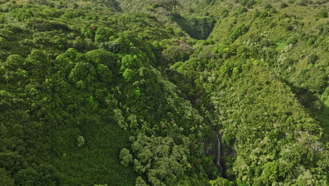 Maui-Hawaii-Antena-V2-Vista-Aérea-Drone-Sobrevuelo-Exuberantes-Colinas-Que-Capturan-La-Reserva-Forestal-De-Hana,-Desciende-A-Los-Valles-Verdes-Que-Capturan-Las-Cataratas-De-Wailua---Filmado-Con-Cine-Mavic-3---Diciembre-De-2022