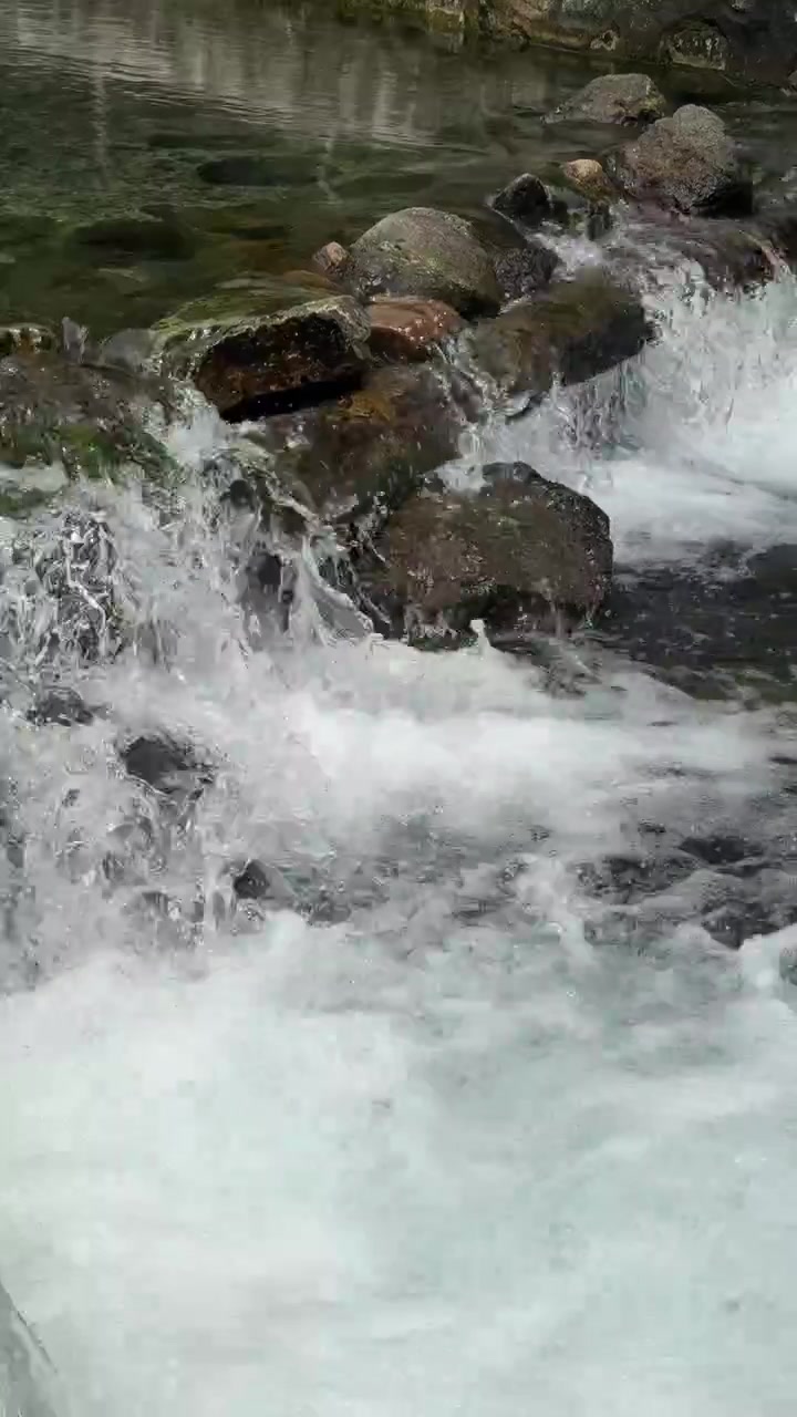 Acqua limpida che scorre sulle rocce in un ruscello di montagna