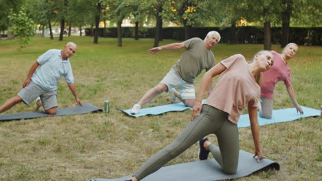 senior people stretching on mats in park with yoga teacher