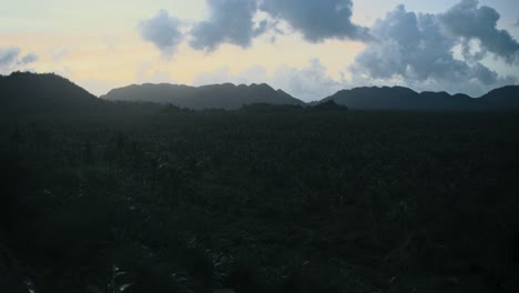 Overlooking-a-palm-forest-during-sunset-on-the-island-of-Siargao,-Philippines