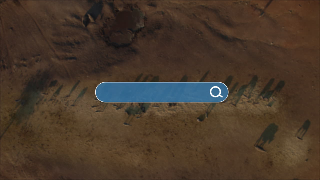 An airplane crosses a solid background revealing a search bar and beneath it aerial footage of Wildebeest, zebras and rhinos, travel destinations for personalized location