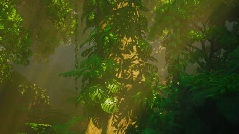 sunlight filtering through a misty jungle