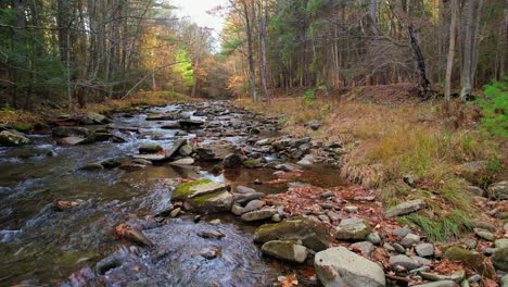 low smooth drone video footage of a beautiful appalachian forest stream during autumn