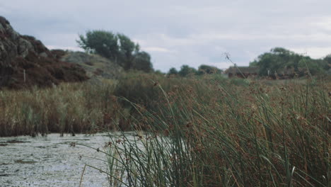 Small-lake-and-straws-in-front-of-red-farmhouse