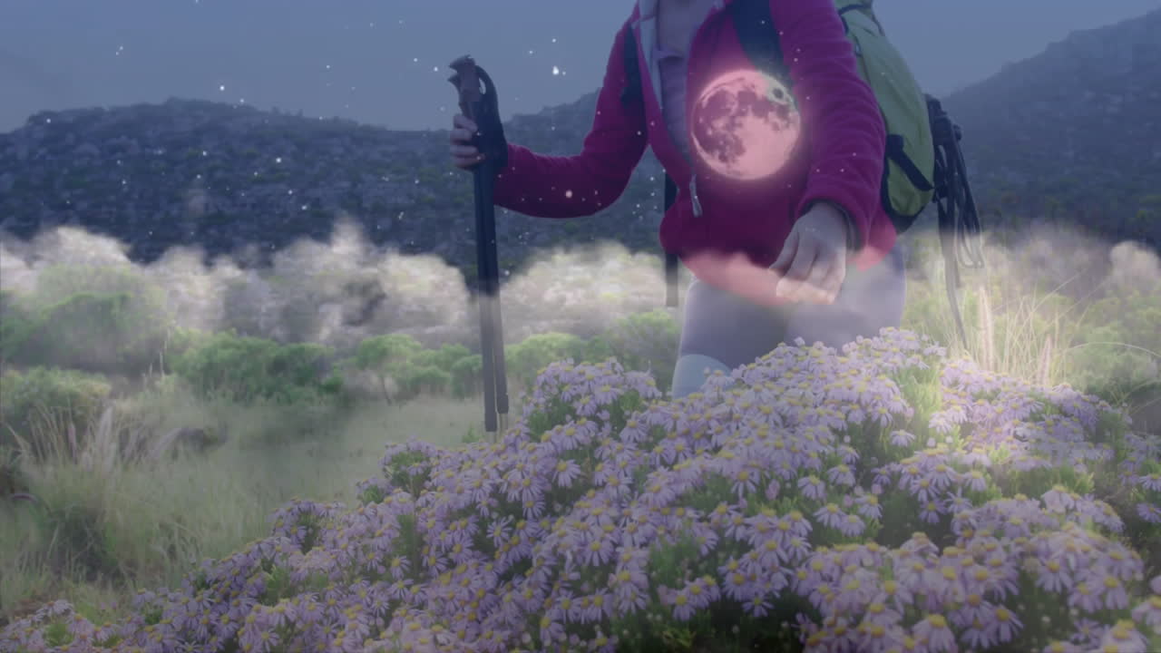 Designers creating marketing visual with hiker using poles amid purple daisies under moon graphic