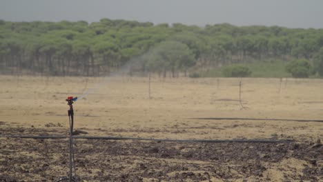 Sprinkler-watering-freshly-planted-field,-soft-focus-tree-background,-Huelva,-Spain