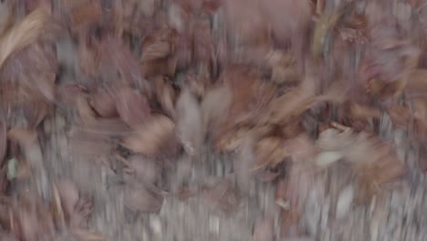 flying through over fallen leaves in november 4k