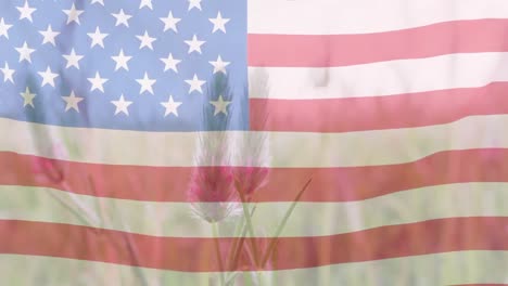 animation of american flag over meadow