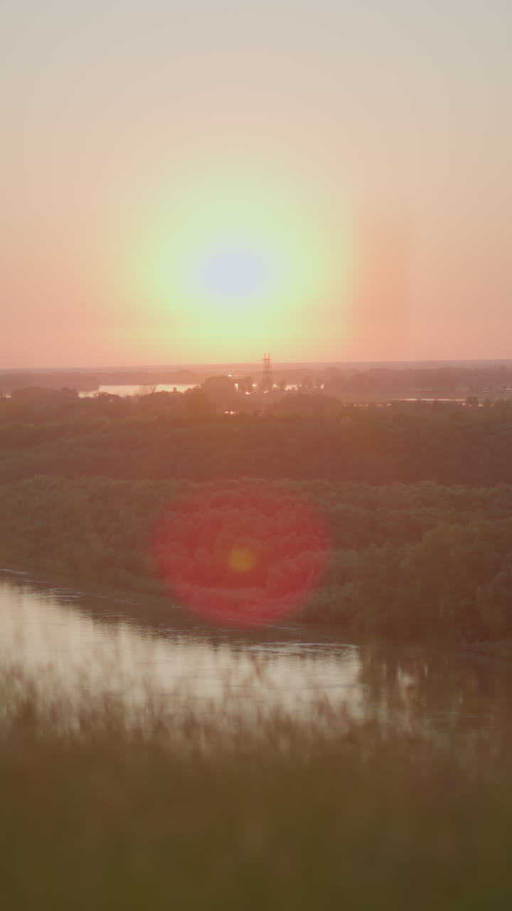 una escena pacífica a la orilla del lago al atardecer con hierbas altas balanceándose suavemente en primer plano, rodeada de exuberante vegetación, bañada en un cálido resplandor dorado que ilumina el paisaje sereno