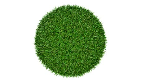 sphere of grass and flowers with growth animation