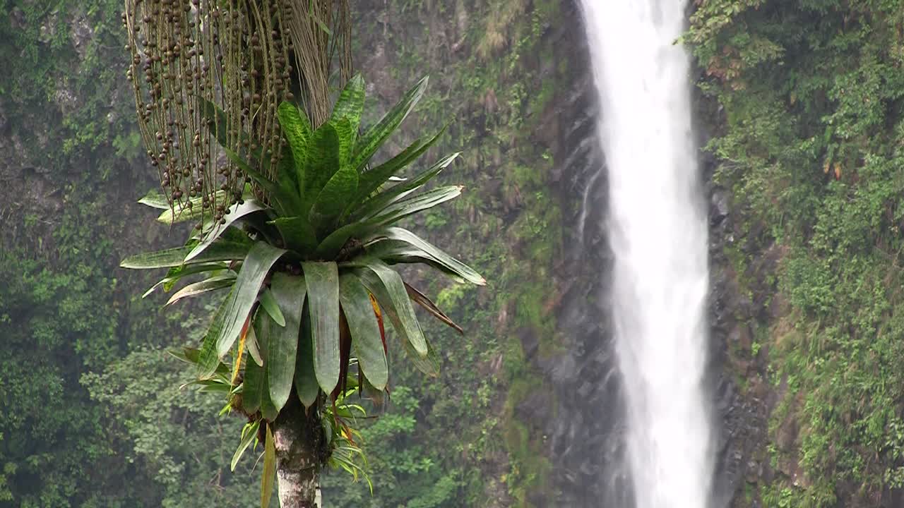 красивый водопад возле фортуны коста-рика 6