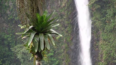 beautiful waterfall near fortuna costa rica 6