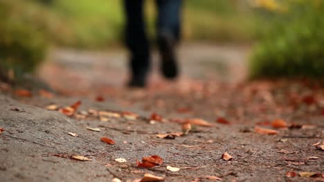 Man-walking-along-a-leafy-path