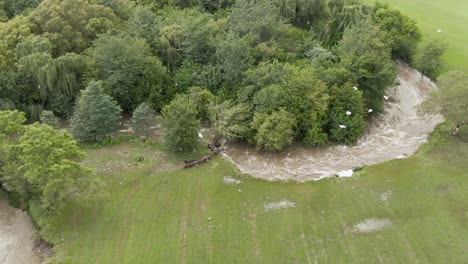 Drohnen-Luftaufnahmen-Eines-Flusses,-Der-Nach-Starken-Regenfällen-In-Vollem-Umfang-über-Die-Ufer-Tritt