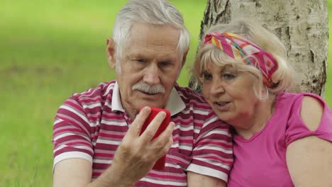 Familienpicknick.-Älteres-Altes-Großelternpaar-Im-Park-Nutzt-Smartphone,-Um-Online-Zu-Surfen-Und-Einzukaufen