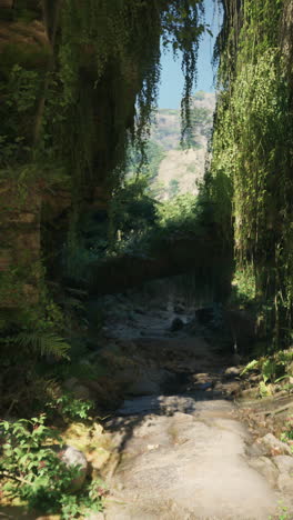 un camino de la selva exuberante con un arroyo corriendo a través de él