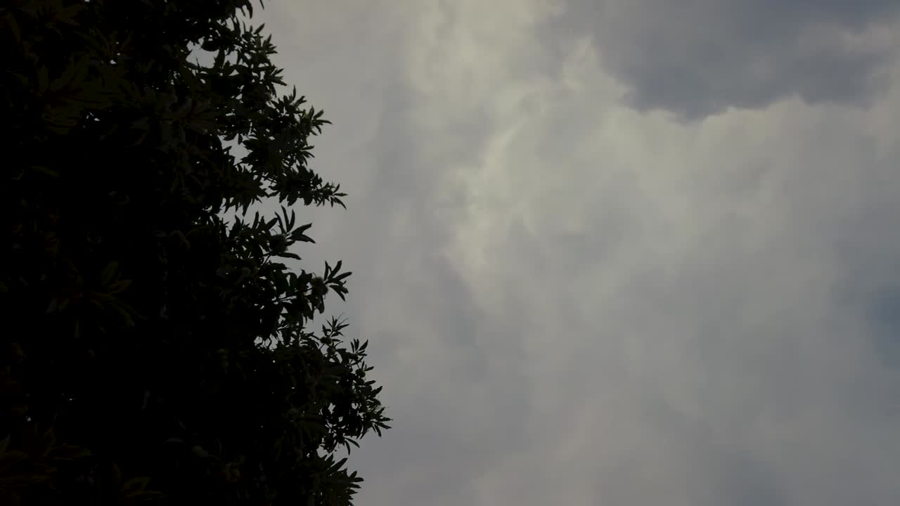 비 후 구름 - timelapse