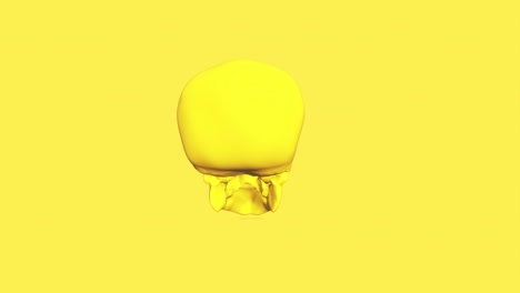 yellow skull 4k