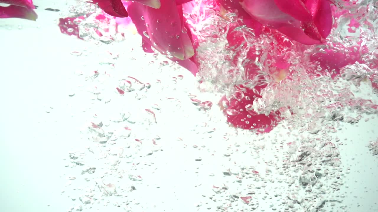 Roseblader faller i vann. Bakgrunn. Sakte film