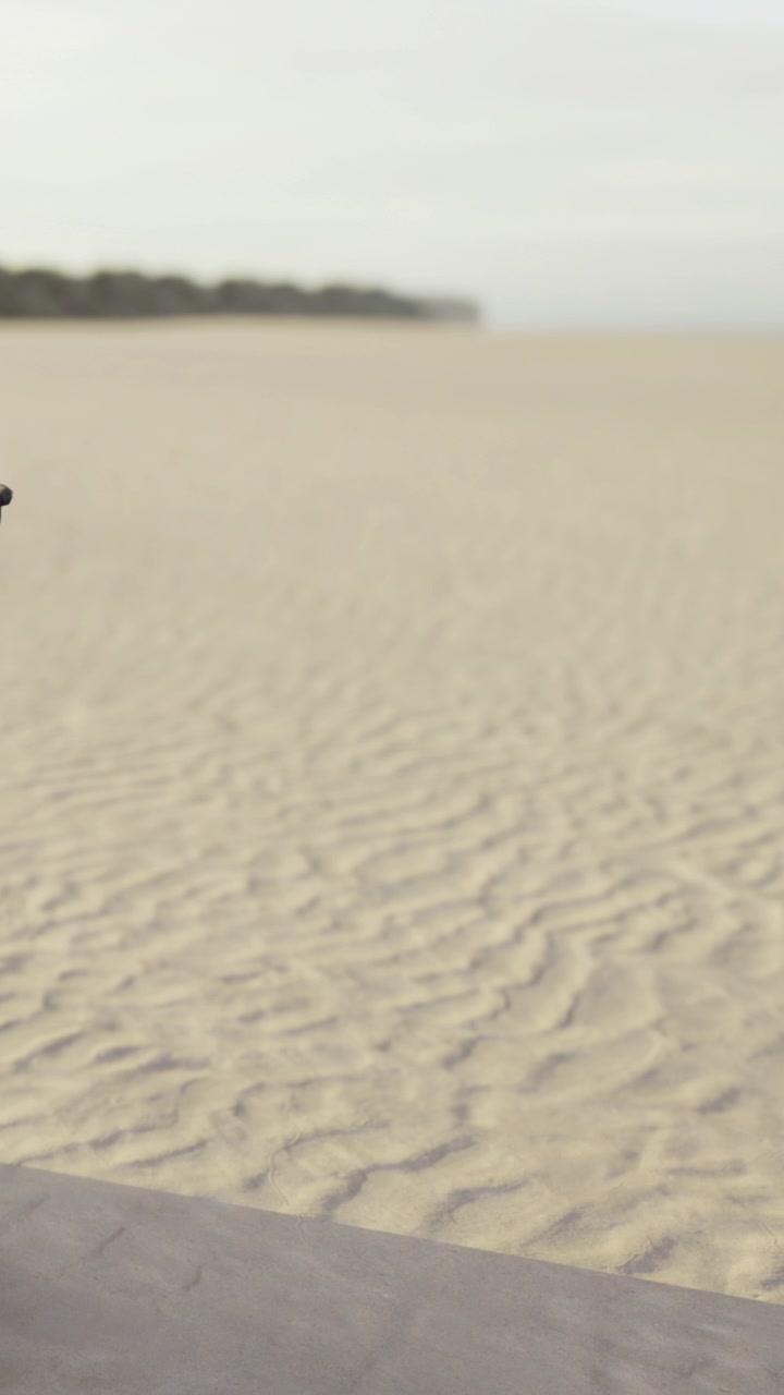 Person går på sandstrand ved lavvande på en overskyet dag.