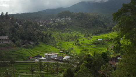 Reveal-of-stunning-green-rice-fields-on-the-hills-in-Bali.-Aerial-dolly-view-of-rural-countryside-houses-and-farm-plantations-at-the-foot-of-a-mountain-in-Asia