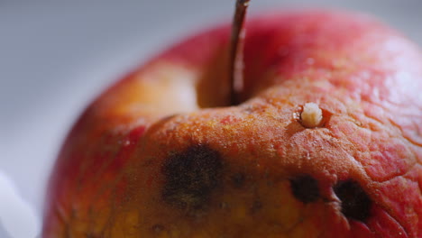 wurm klettert aus einem faulen apfel