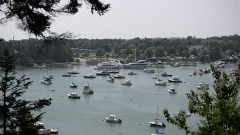 wide angle overview of marina with boats spaced out and anchored at mooring buoys