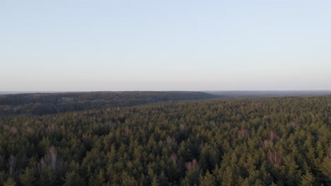 Antenne:-Waldhügel-Mit-Strahlend-Blauem-Himmel-An-Einem-Schönen-Abend