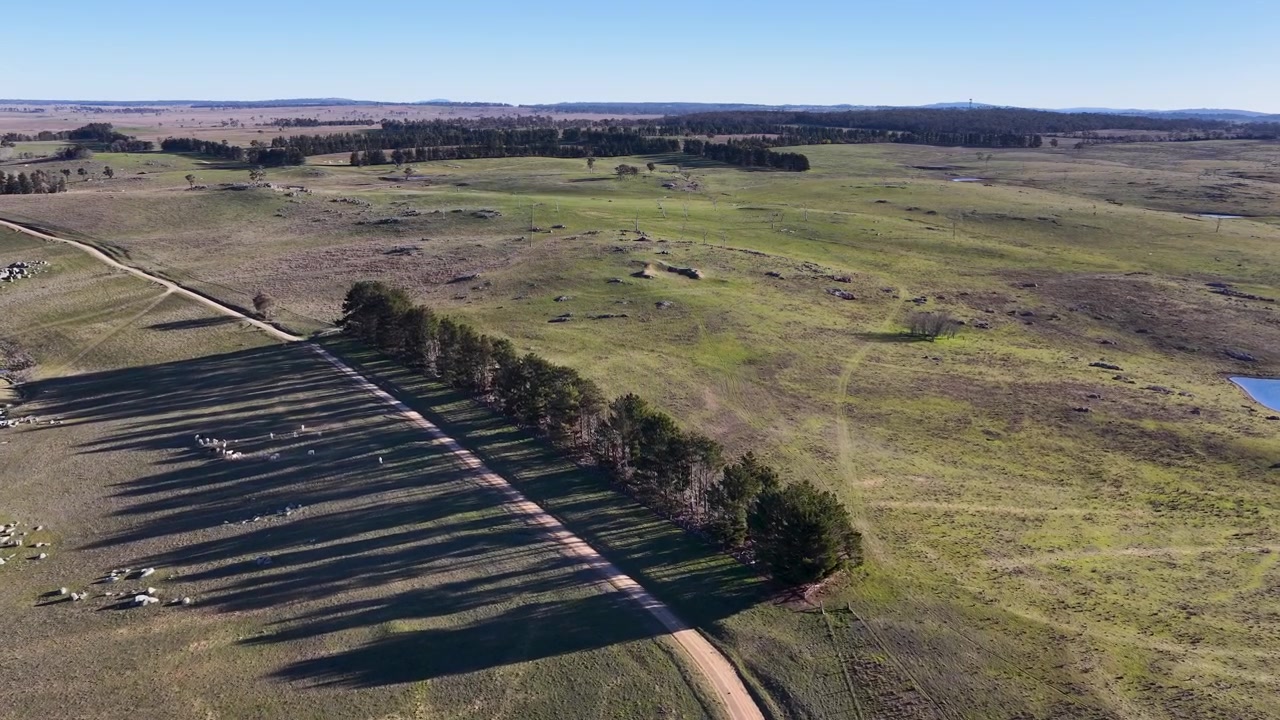 Veduta aerea di paesaggio rurale con strada sterrata e pecore al pascolo